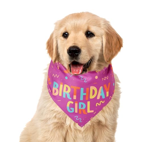 Dog Bandana, Doggy Birthday Boy Bandana with Bone Toy, Adorable Soft Scarf, Adjustable Fit, Cute Design for Medium Puppies, Everyday Wear, Comfortable Pet Accessory Dog Bandana, Doggy Birthday Boy Bandana with Bone Toy, Adorable Soft Scarf, Adjustable Fit, Cute Design for Medium Puppies, Everyday Wear, Comfortable Pet Accessory von Riaisttd