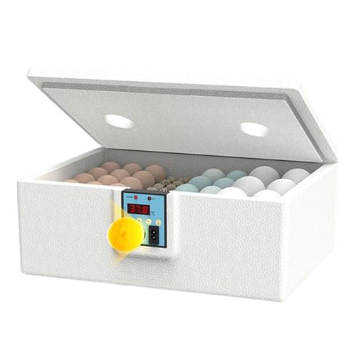 Eierbrüter Smart Wachteln 32 Eier Wasserbett Heizmaschine Weiß Präzise Temperaturregelung Ideal für Hinterhof, Brutstätte, Labor, Bauernhof, Geflügelzucht, Langlebig Eierbrüter Smart Wachteln 32 Eier Wasserbett Heizmaschine Weiß Präzise Temperaturregelung Ideal für Hinterhof, Brutstätte, Labor, Bauernhof, Geflügelzucht, Langlebig von Riaisttd