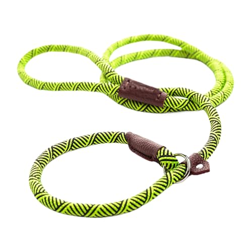 Hundeseil für Spaziergänge, verstellbare Länge, Hundeseil für mittelgroße Hunde, bequemer gepolsterter Griff, langes Hundeseil für Spaziergänge und Training, ideal für den täglichen Gebrauch und Hundeseil für Spaziergänge, verstellbare Länge, Hundeseil für mittelgroße Hunde, bequemer gepolsterter Griff, langes Hundeseil für Spaziergänge und Training, ideal für den täglichen Gebrauch und von Riaisttd