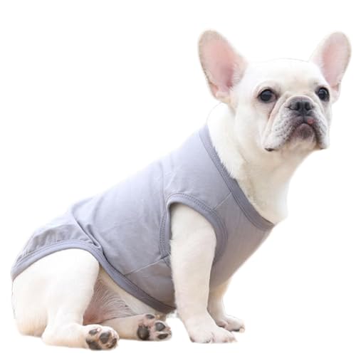 Leichter Hundepullover, Welpenkleidung für Camping, Outdoor-Training, Hundeweste, modische Hundejacke, Hundemantel für den Winter, stilvolle Hundebekleidung für Camping, Outdoor-Training Leichter Hundepullover, Welpenkleidung für Camping, Outdoor-Training, Hundeweste, modische Hundejacke, Hundemantel für den Winter, stilvolle Hundebekleidung für Camping, Outdoor-Training von Riaisttd