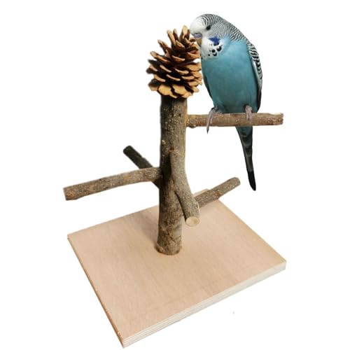 Nymphensittich-Sitzstange aus, Sittichsitzstangen, Tisch-Sitzstange für, natürliche Holzzweige, ideal für Vogelkäfige, Spaß & interaktive Spielzeit Nymphensittich-Sitzstange aus, Sittichsitzstangen, Tisch-Sitzstange für, natürliche Holzzweige, ideal für Vogelkäfige, Spaß & interaktive Spielzeit von Riaisttd