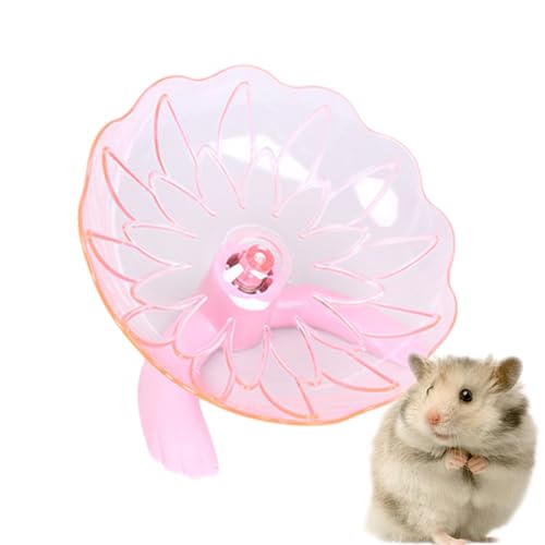 Riaisttd Igelrad Kleintier-Trainingsräder Mäusekäfig Zubehör Stabil Transparent Jogging Spinner Haustier Anreicherung für Frettchen Chinchilla Spielen Riaisttd Igelrad Kleintier-Trainingsräder Mäusekäfig Zubehör Stabil Transparent Jogging Spinner Haustier Anreicherung für Frettchen Chinchilla Spielen von Riaisttd