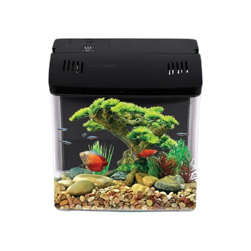 Riaisttd Kleines Aquarium Mit Filter | Kleine Betta Aquarien | Zubehör Für Quallen Frösche Schildkröten Riff | Für Büro Tisch Zuhause Zimmer von Riaisttd