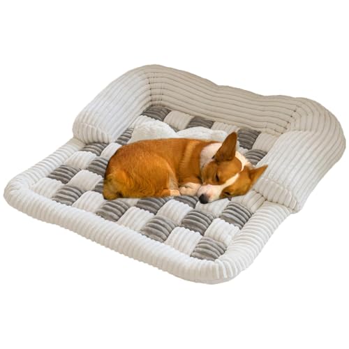Riaisttd Sofaschoner für Haustiere, rutschfeste Sofaschoner Haustiermatte, verdickte Katzen-Couchschutz, waschbar, flauschig, beruhigendes Hundebett für den Winter, ideal für Hunde und Katzen Riaisttd Sofaschoner für Haustiere, rutschfeste Sofaschoner Haustiermatte, verdickte Katzen-Couchschutz, waschbar, flauschig, beruhigendes Hundebett für den Winter, ideal für Hunde und Katzen von Riaisttd