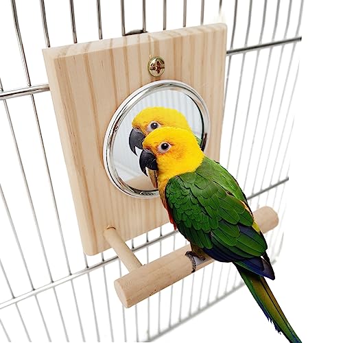 Haustier-Vogel-Spiegel-Käfig-Spielzeug | Langlebiger Schaukel-Spiegel aus Holz zum Aufhängen von Vögeln mit Standstab | Lustiger und niedlicher hölzerner Haustier-Spielzeugspiegel Rianpesn von Rianpesn