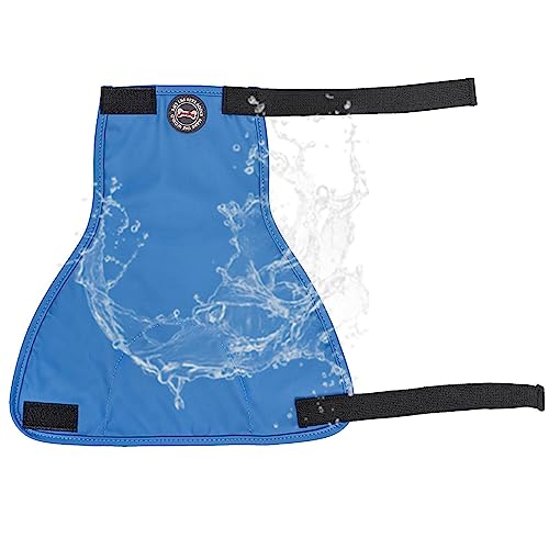 Hundebauchband - Männliche Welpen-PIPI-Windel,Männliche Hundewickel mit elastischem Band, reserviertes Urinal, weiches Leder für englische Bulldogge, Basset, Dackel Rianpesn Hundebauchband - Männliche Welpen-PIPI-Windel,Männliche Hundewickel mit elastischem Band, reserviertes Urinal, weiches Leder für englische Bulldogge, Basset, Dackel Rianpesn von Rianpesn