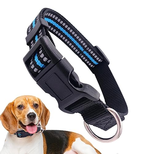 Reflektierendes Hundehalsband, Atmungsaktive große Hundehalsbänder, Verstellbarer Hundekomfort, kleine Hundemarke, Nylon-Schnalle für kleine, mittelgroße und Verschiedene Hunde Rianpesn Reflektierendes Hundehalsband, Atmungsaktive große Hundehalsbänder, Verstellbarer Hundekomfort, kleine Hundemarke, Nylon-Schnalle für kleine, mittelgroße und Verschiedene Hunde Rianpesn von Rianpesn