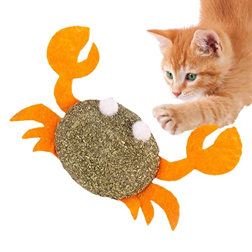 Rianpesn Kauspielzeug für Katzen, Langlebiges Kauspielzeug von Silvervine, Katzenspielzeug Interaktives, bissfestes Silvervine-Kauspielzeug für Katzen zu Spielen im Innen- und Außenbereich Rianpesn Kauspielzeug für Katzen, Langlebiges Kauspielzeug von Silvervine, Katzenspielzeug Interaktives, bissfestes Silvervine-Kauspielzeug für Katzen zu Spielen im Innen- und Außenbereich von Rianpesn