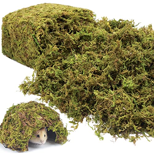 Riare 0,6 kg natürliches Hamstermoos-Bett, ineinander stapelbar, weicher Waldmoos-Hamster-Lebensraum für Zwerg-Syrische Hamster, Mices, Rennmäuse, Reptilien, kleine Haustiere Riare 0,6 kg natürliches Hamstermoos-Bett, ineinander stapelbar, weicher Waldmoos-Hamster-Lebensraum für Zwerg-Syrische Hamster, Mices, Rennmäuse, Reptilien, kleine Haustiere von Riare