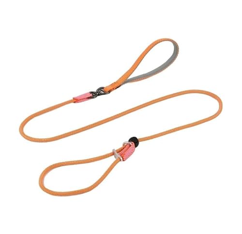 Rieoany Retrieverleine mit Zugstopp, 6mm x 180cm Hundeleine für kleine, mittlere und große Hunde, Zugstopp Halsband Hund, Leichte Hundeleine mit Halsband, Retrieverleine für Training und Spaziergang Rieoany Retrieverleine mit Zugstopp, 6mm x 180cm Hundeleine für kleine, mittlere und große Hunde, Zugstopp Halsband Hund, Leichte Hundeleine mit Halsband, Retrieverleine für Training und Spaziergang von Rieoany