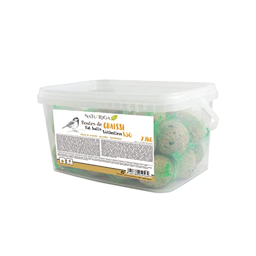 Meisenknödel x 30 Meisenknödel x 30 von Riga