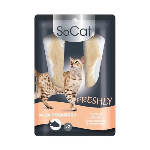 RIGA - SoCat Freshly – Leckereien für Katzen – weiches Makrelenfilet – reich an Proteinen – fettarm – ohne Farbstoffe oder Konservierungsstoffe – ideale Belohnung – 2 x 12 g RIGA - SoCat Freshly – Leckereien für Katzen – weiches Makrelenfilet – reich an Proteinen – fettarm – ohne Farbstoffe oder Konservierungsstoffe – ideale Belohnung – 2 x 12 g von Riga