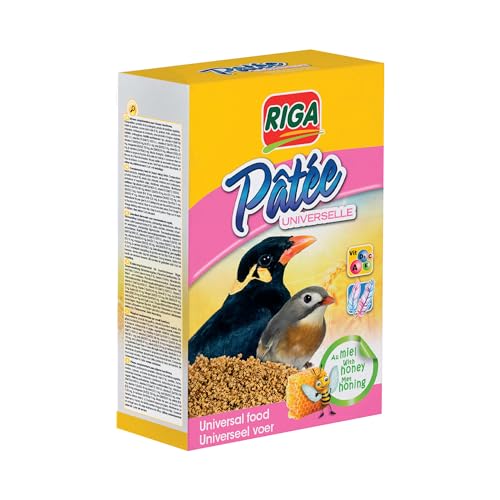 RIGA - Universelles Nassfutter für Vögel – Ergänzungsfuttermittel für Insekten – mit Honig und Früchten – reich an Vitaminen und Proteinen – fördert Gesang, glänzendes und buntes Gefieder – 600 g von Riga