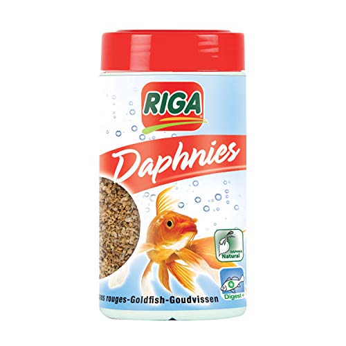 Riga - Cold Daphnien - 100% Getrocknete Daphnien - Idealer Leckerbissen für Gold- und Kaltwasserfische - 38 g von Riga