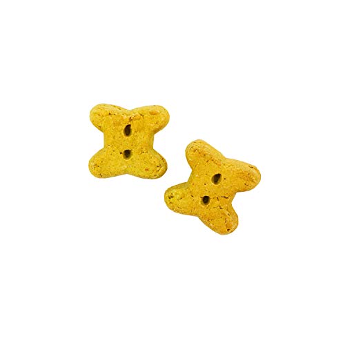 Riga Hundekekse ohne Getreide in Form von Miniknochen, 1er Pack (1 x 2.55 kilograms) von Riga