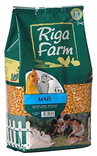Riga Mais, 4 kg von Riga