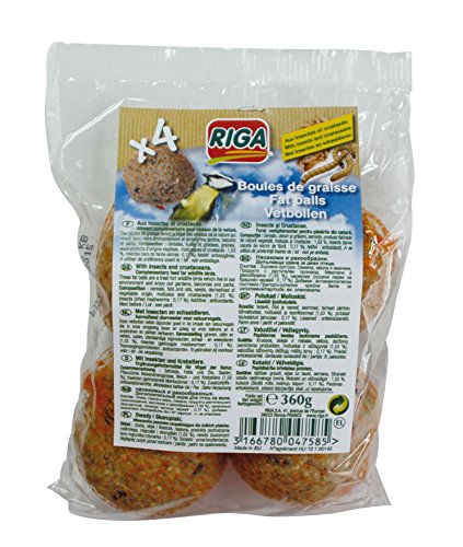 Riga - Meisenknödel mit Insekten - Fett- und Proteinzufuhr - Packung mit 4 Fettkugeln für Vögel von Riga