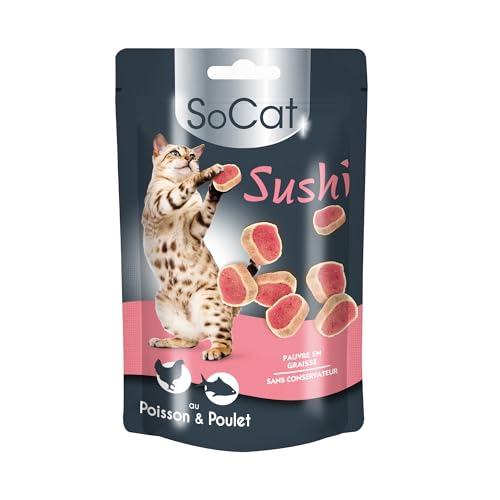 Riga - Miouly Sushi – Leckerli für Katzen, reich an Huhn und Fisch – Proteinquelle – Packung mit 100 g von Riga