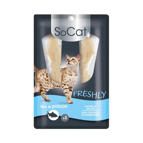 Riga - SoCat Freshly Thunfischfilet - Leckerbissen für Katzen Reich an Proteinen - Getreide- und Glutenfrei - Packung mit 2 Thunfischfilets, 25g von Riga