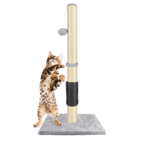 Kratzbaum für große Katzen und Kätzchen, Vertikaler Kratzbaum mit natürlichem Sisalseil und interaktivem hängenden Ball für Hauskatzen, 40x40x80cm von Rigogo