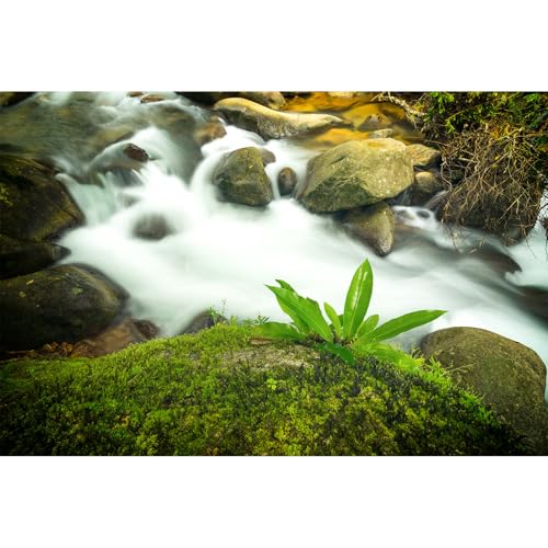 Aquarium-Hintergrund, Felsen, Fluss, grünes Gras, Terrarium, Hintergrund, Wasserfall, Aquarium-Hintergrund, große Felsen, Reptilien-Lebensraum, Hintergrund, natürliche Bachlandschaft, Aquarium-Hintergrund, Felsen, Fluss, grünes Gras, Terrarium, Hintergrund, Wasserfall, Aquarium-Hintergrund, große Felsen, Reptilien-Lebensraum, Hintergrund, natürliche Bachlandschaft, von Riivvdise