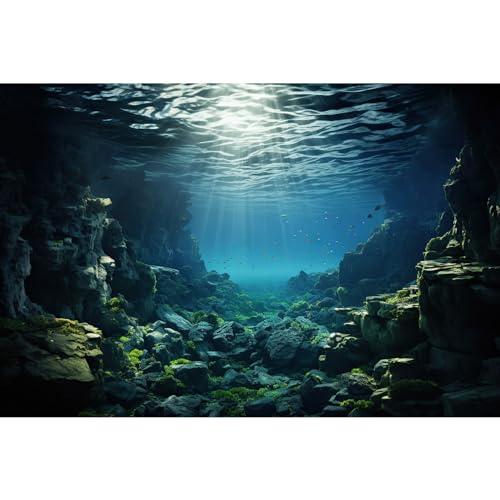 Aquarium-Hintergrund, Unterwasser-Korallenriff mit Fischen, Sonnenstrahlen, Terrarium-Hintergrund unter Wasser, Felsen mit Moos, Aquarium-Tapete, Poster, Dekoration, Vinyl, 61 x 30,5 cm Aquarium-Hintergrund, Unterwasser-Korallenriff mit Fischen, Sonnenstrahlen, Terrarium-Hintergrund unter Wasser, Felsen mit Moos, Aquarium-Tapete, Poster, Dekoration, Vinyl, 61 x 30,5 cm von Riivvdise