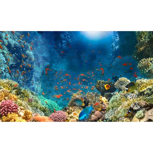 Aquarium-Hintergrund, bunte Korallen, Riffe, Unterwasser, Meeresblick, Aquarium-Hintergrund, Ozean, lebt, Landschaft, Terrarium, Hintergrund, tropische Fische, Aquarium-Hintergrund, Dekoration, 76,2 x Aquarium-Hintergrund, bunte Korallen, Riffe, Unterwasser, Meeresblick, Aquarium-Hintergrund, Ozean, lebt, Landschaft, Terrarium, Hintergrund, tropische Fische, Aquarium-Hintergrund, Dekoration, 76,2 x von Riivvdise