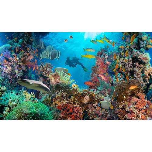 Aquarium-Hintergrund, tropische Anthias, Fische mit Netz, Feuerkorallen auf rotem Meer, Aquarium-Hintergrund, Unterwasserwelt, Aquarium-Dekoration, Unterwasser-Aquarium-Hintergrund, Poster, 61 x 30,5 Aquarium-Hintergrund, tropische Anthias, Fische mit Netz, Feuerkorallen auf rotem Meer, Aquarium-Hintergrund, Unterwasserwelt, Aquarium-Dekoration, Unterwasser-Aquarium-Hintergrund, Poster, 61 x 30,5 von Riivvdise