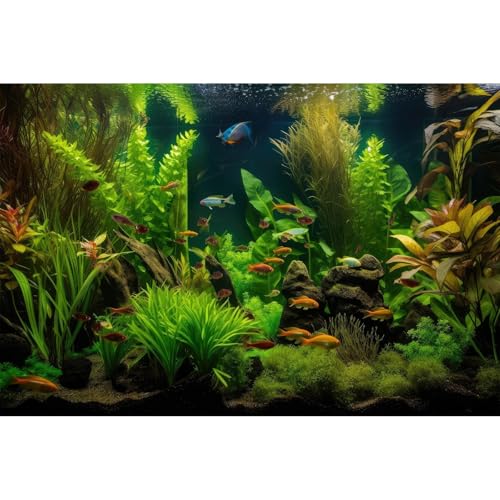 Aquarium-Hintergrund, tropischer Süßwasser-Lebensraum mit bunten Fischpflanzen, Terrarium-Hintergrund, ruhig unter dem Meer, Wasserpflanzen, Redwoodwurzel mit üppigem Moos, Aquarium-Hintergrund, Aquarium-Hintergrund, tropischer Süßwasser-Lebensraum mit bunten Fischpflanzen, Terrarium-Hintergrund, ruhig unter dem Meer, Wasserpflanzen, Redwoodwurzel mit üppigem Moos, Aquarium-Hintergrund, von Riivvdise