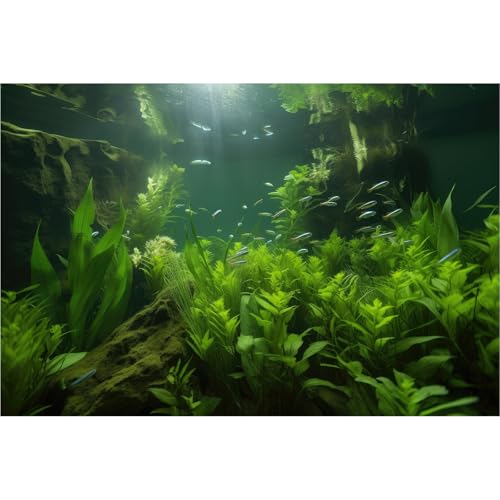 Aquarium-Hintergrund, üppige Wasserpflanzen, Seegras, Terrarien-Hintergrund, Rotholzwurzel mit M oss tropischem Stil, grüne Unterwasserpflanzen, Aquarium-Hintergrund, 61 x 30,5 cm Aquarium-Hintergrund, üppige Wasserpflanzen, Seegras, Terrarien-Hintergrund, Rotholzwurzel mit M oss tropischem Stil, grüne Unterwasserpflanzen, Aquarium-Hintergrund, 61 x 30,5 cm von Riivvdise