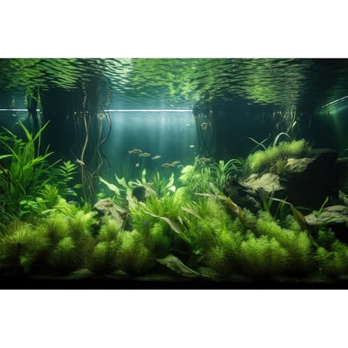 Aquarium-Hintergrund, üppige grüne Wasserpflanzen und Seegras, Terrarium-Hintergrund unter dem Meer mit Steinsand, Aquarium-Hintergrund, erstaunlicher Aquarium-Hintergrund, Poster, Vinyl, 91,4 x 61 cm Aquarium-Hintergrund, üppige grüne Wasserpflanzen und Seegras, Terrarium-Hintergrund unter dem Meer mit Steinsand, Aquarium-Hintergrund, erstaunlicher Aquarium-Hintergrund, Poster, Vinyl, 91,4 x 61 cm von Riivvdise