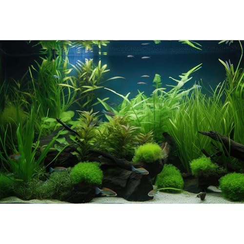 Aquarium-Hintergrund, vielfältige Sammlung von Wasserpflanzen, Seegras, Terrarium, Hintergrund, Rotholz, Wurzel, Moos, tropischer Stil, Unterwasserpflanzen, Aquarium-Hintergrund, 91,4 x 61 cm Aquarium-Hintergrund, vielfältige Sammlung von Wasserpflanzen, Seegras, Terrarium, Hintergrund, Rotholz, Wurzel, Moos, tropischer Stil, Unterwasserpflanzen, Aquarium-Hintergrund, 91,4 x 61 cm von Riivvdise