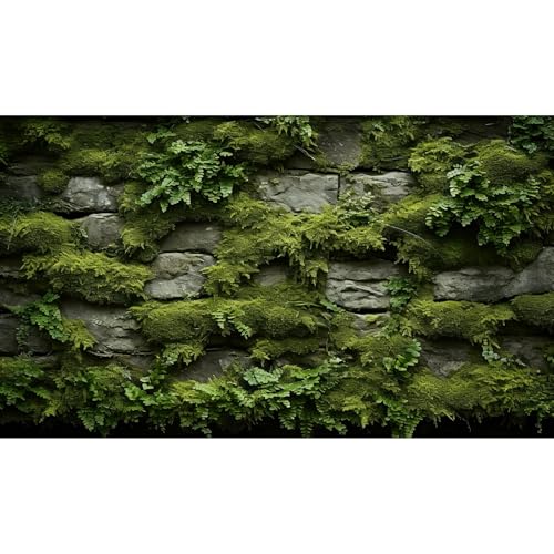 Felswand Aquarium Hintergrund Innenwand verziert mit üppigem grünem Moos, Aquarium-Hintergrund, Steinmauer, Reptilien-Tank, Hintergrund, Moos mit Steinmauer, Reptilienlebensraum, Terrarium-Hintergrund Felswand Aquarium Hintergrund Innenwand verziert mit üppigem grünem Moos, Aquarium-Hintergrund, Steinmauer, Reptilien-Tank, Hintergrund, Moos mit Steinmauer, Reptilienlebensraum, Terrarium-Hintergrund von Riivvdise