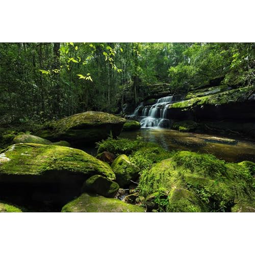 Hintergrund für Aquarium, Wald, Wasserfall, Dschungel, Regenwald, Bach, Terrarium, riesige Felsen mit Moos, Dschungel, Bäume, Aquarium, Hintergrund, Waldlandschaft, Reptilien, Lebensraum, Vinyl, 61 x Hintergrund für Aquarium, Wald, Wasserfall, Dschungel, Regenwald, Bach, Terrarium, riesige Felsen mit Moos, Dschungel, Bäume, Aquarium, Hintergrund, Waldlandschaft, Reptilien, Lebensraum, Vinyl, 61 x von Riivvdise