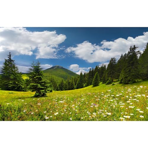 Hintergrund für Bergaquarium, klar, bewölkt, blauer Himmel, Aquarium-Hintergrund, üppige grüne Kiefern, fantastische natürliche Landschaft, Terrarium, Hintergrund, Frühlingsblumen, grünes Gras, Hintergrund für Bergaquarium, klar, bewölkt, blauer Himmel, Aquarium-Hintergrund, üppige grüne Kiefern, fantastische natürliche Landschaft, Terrarium, Hintergrund, Frühlingsblumen, grünes Gras, von Riivvdise
