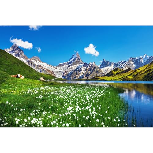 Hintergrund für Bergaquarium, ruhiger See, blauer Himmel, Aquarium-Hintergrund, Wasserpflanzen, Blumen, Terrarium, Hintergrund, Frühlingswiese, Kuh, natürliche Landschaft, Aquarium-Hintergrund, Hintergrund für Bergaquarium, ruhiger See, blauer Himmel, Aquarium-Hintergrund, Wasserpflanzen, Blumen, Terrarium, Hintergrund, Frühlingswiese, Kuh, natürliche Landschaft, Aquarium-Hintergrund, von Riivvdise