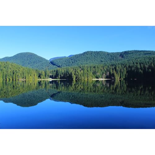 Hintergrund für See, Aquarium, ruhiger Wald, Bergterrarium, blauer Himmel, spektakulärer, natürlicher See-Thema, Aquarium-Hintergrund, Regenwald, Berge, Reptilien-Lebensraum, Hintergrunddekoration, Hintergrund für See, Aquarium, ruhiger Wald, Bergterrarium, blauer Himmel, spektakulärer, natürlicher See-Thema, Aquarium-Hintergrund, Regenwald, Berge, Reptilien-Lebensraum, Hintergrunddekoration, von Riivvdise