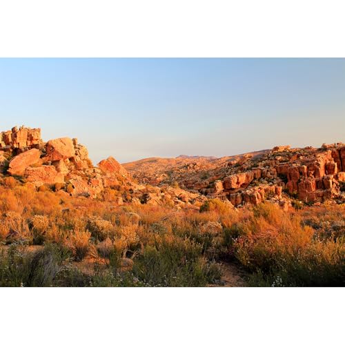 Hintergrund für Sonnenuntergang, Wüste, Reptilien, Felsen, Gobi-Pflanzen, Landschaft, Terrarium, Felsen, Bergfarne, Aquarium-Hintergrund, Wüstenfelsen, Aquarium-Hintergrund, 91,4 x 45,7 cm Hintergrund für Sonnenuntergang, Wüste, Reptilien, Felsen, Gobi-Pflanzen, Landschaft, Terrarium, Felsen, Bergfarne, Aquarium-Hintergrund, Wüstenfelsen, Aquarium-Hintergrund, 91,4 x 45,7 cm von Riivvdise
