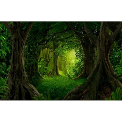 Hintergrund für Waldaquarium, üppiger grüner Regenwald, Naturlandschaft, Terrarium, Hintergrund, Dschungelwald mit Sonnenstrahlen-Thema, alte Bäume, Aquarium-Hintergrund, Tapete, Poster, Vinyl, 91,4 x von Riivvdise