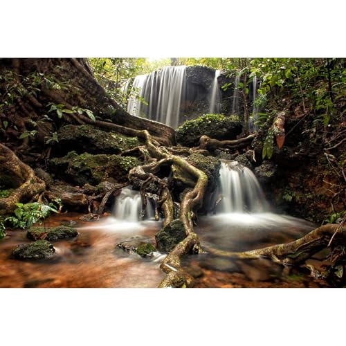Hintergrund für Wasserfall, Reptilien, Lebensraum, Dschungel, Wald, See, Bach, natürliche Landschaft, Aquarium, tropische Pflanzen, riesiges Fels-Terrarium, Hintergrund, Dschungel, alte Bäume, Hintergrund für Wasserfall, Reptilien, Lebensraum, Dschungel, Wald, See, Bach, natürliche Landschaft, Aquarium, tropische Pflanzen, riesiges Fels-Terrarium, Hintergrund, Dschungel, alte Bäume, von Riivvdise