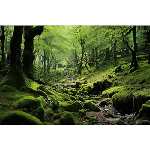 Mooslandschaft Aquarium-Hintergrund, tropischer Wald mit üppigem grünem Moos, Terrarium, Bachlauf, Felsen, Regenwald, Naturlandschaft, Aquarium-Hintergrund, Tapete, Poster, Dekoration, Vinyl, 91,4 x Mooslandschaft Aquarium-Hintergrund, tropischer Wald mit üppigem grünem Moos, Terrarium, Bachlauf, Felsen, Regenwald, Naturlandschaft, Aquarium-Hintergrund, Tapete, Poster, Dekoration, Vinyl, 91,4 x von Riivvdise