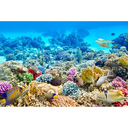 Ocean World Aquarium-Hintergrund unter dem Meer, tropische Fische, Korallenriff-Terrarium, Hintergrund, Unterwasser, Meereslebewesen, bunte Korallen, blauer Meeresboden, Hintergrunddekoration, 76,2 x Ocean World Aquarium-Hintergrund unter dem Meer, tropische Fische, Korallenriff-Terrarium, Hintergrund, Unterwasser, Meereslebewesen, bunte Korallen, blauer Meeresboden, Hintergrunddekoration, 76,2 x von Riivvdise