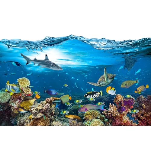 Ozean-Aquarium-Hintergrund, tropische Fische, Korallenriff-Terrarium, Hintergrund unter dem Meer, Welt-Thema, Schildkröte, Hai, Blau, Meeresfisch, Aquarium, Dekoration, 183 x 61 cm Ozean-Aquarium-Hintergrund, tropische Fische, Korallenriff-Terrarium, Hintergrund unter dem Meer, Welt-Thema, Schildkröte, Hai, Blau, Meeresfisch, Aquarium, Dekoration, 183 x 61 cm von Riivvdise
