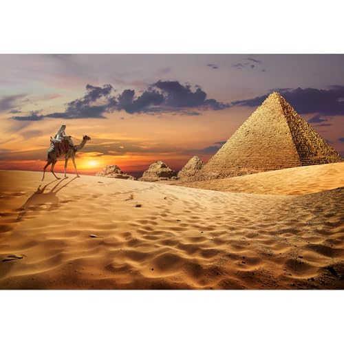 Riivvdise Aquarium-Hintergrund, Ägyptische Pyramiden, Sonnenuntergang, Wüstenpyramiden, Terrarium, Hintergrund, Beduinen auf Kamel, in der Nähe von Pyramiden, Reptilien-Lebensraum, Hintergrund, Riivvdise Aquarium-Hintergrund, Ägyptische Pyramiden, Sonnenuntergang, Wüstenpyramiden, Terrarium, Hintergrund, Beduinen auf Kamel, in der Nähe von Pyramiden, Reptilien-Lebensraum, Hintergrund, von Riivvdise