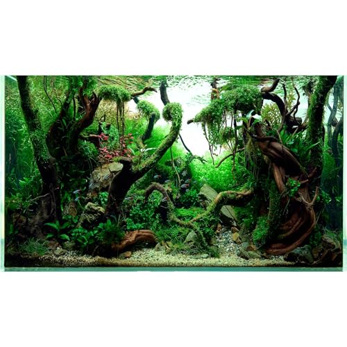 Riivvdise Aquarium-Hintergrund, Unterwasser-Kieselgras, Blätter, Aquarium-Hintergrund, lebendig, frisch, grün, Wasserpflanze, Stein, Flussbett, Aquarium-Hintergrund, Totholz, violette Blätter, Riivvdise Aquarium-Hintergrund, Unterwasser-Kieselgras, Blätter, Aquarium-Hintergrund, lebendig, frisch, grün, Wasserpflanze, Stein, Flussbett, Aquarium-Hintergrund, Totholz, violette Blätter, von Riivvdise