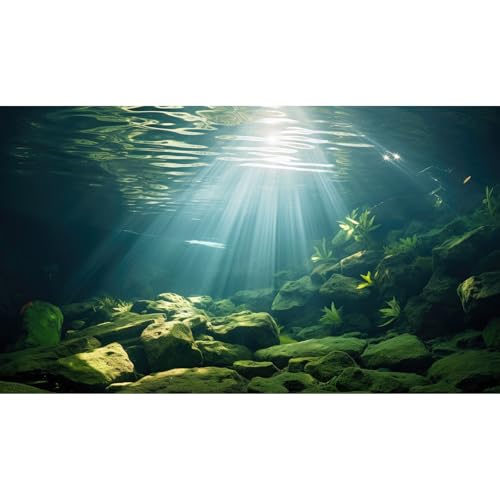 Riivvdise Hintergrund für Aquarien, Unterwasserpflanzen, Tiefseefischtank, Unterwasser, Sonnenstrahl, Felsen, Terrarium, Hintergrund, Tiefsee, Boden, tropische Aquarien, Hintergrunddekoration, 183 x Riivvdise Hintergrund für Aquarien, Unterwasserpflanzen, Tiefseefischtank, Unterwasser, Sonnenstrahl, Felsen, Terrarium, Hintergrund, Tiefsee, Boden, tropische Aquarien, Hintergrunddekoration, 183 x von Riivvdise