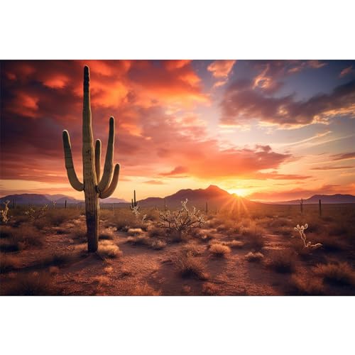 Riivvdise Hintergrund für Reptilien, Habitat, Sonnenuntergang, Wüstenterrarium, Saguaro-Kakteen, Silhouetten gegen Sonnenuntergang, Himmel, robustes Gelände, lebendige Wüstenfarben, Riivvdise Hintergrund für Reptilien, Habitat, Sonnenuntergang, Wüstenterrarium, Saguaro-Kakteen, Silhouetten gegen Sonnenuntergang, Himmel, robustes Gelände, lebendige Wüstenfarben, von Riivvdise