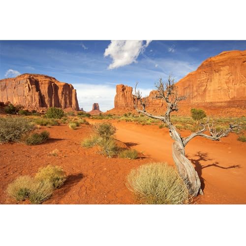 Riivvdise Hintergrund für Reptilien, Lebensraum, Sandstein, Felsen, Berge, Landschaft, Wüstenterrarium, Hintergrund, Aquarium-Hintergrund, strapazierfähiges Polyester, Vinyl, 91,4 x 61 cm Riivvdise Hintergrund für Reptilien, Lebensraum, Sandstein, Felsen, Berge, Landschaft, Wüstenterrarium, Hintergrund, Aquarium-Hintergrund, strapazierfähiges Polyester, Vinyl, 91,4 x 61 cm von Riivvdise