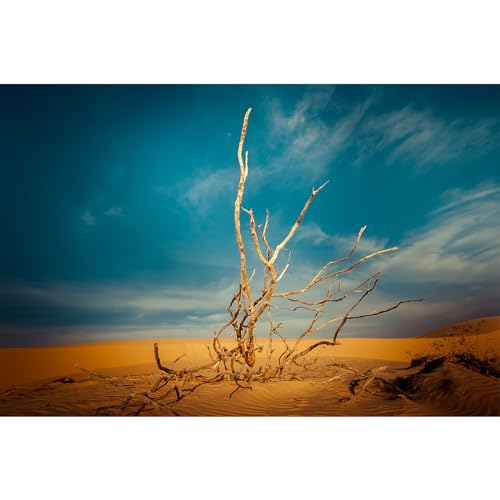 Riivvdise Hintergrund für Reptilien, stehender Baum, Naturlandschaft, Orange, Wüstenlandschaft, Terrarium, Hintergrund, Aquarium-Hintergrund, strapazierfähiges Polyester, Vinyl, 91,4 x 50,8 cm Riivvdise Hintergrund für Reptilien, stehender Baum, Naturlandschaft, Orange, Wüstenlandschaft, Terrarium, Hintergrund, Aquarium-Hintergrund, strapazierfähiges Polyester, Vinyl, 91,4 x 50,8 cm von Riivvdise