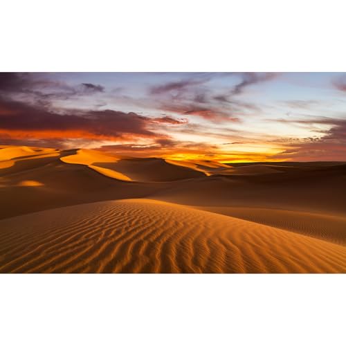 Riivvdise Hintergrund für Sonnenuntergang, Wüste, Reptilien, Landschaft, Sahara, Wüste, Terrarium, Hintergrund, Sonnenuntergang über den Sanddünen, Aquarium-Hintergrund, Sonnenuntergang, Wüste, Riivvdise Hintergrund für Sonnenuntergang, Wüste, Reptilien, Landschaft, Sahara, Wüste, Terrarium, Hintergrund, Sonnenuntergang über den Sanddünen, Aquarium-Hintergrund, Sonnenuntergang, Wüste, von Riivvdise